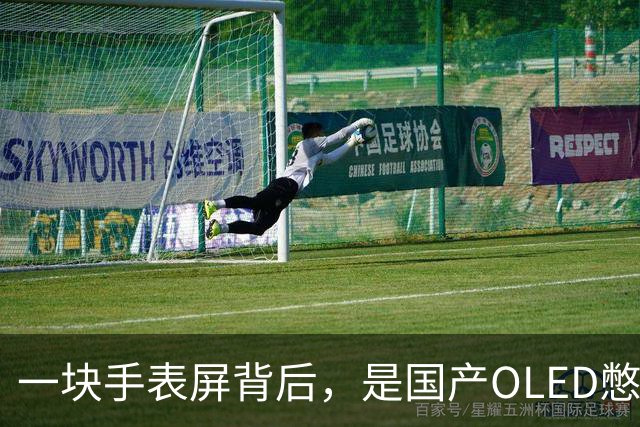 一块手表屏背后，是国产OLED憋了20年的大招
