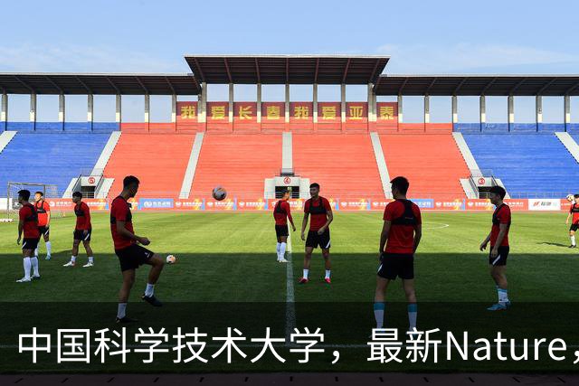 中国科学技术大学，最新Nature，首次合成！